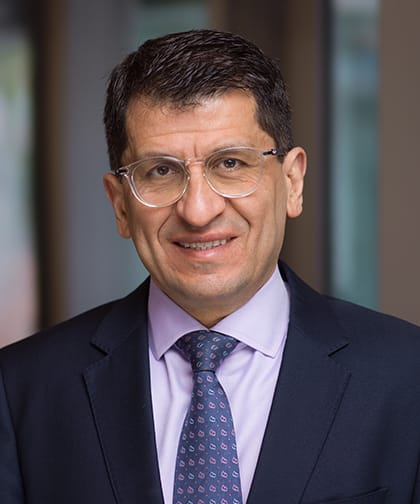 Photo of Hatef Massoumi