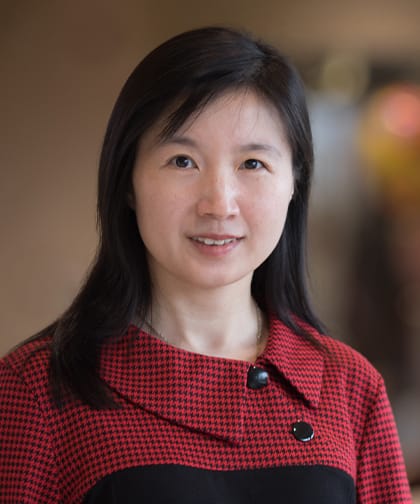 Photo of Haiying Cheng