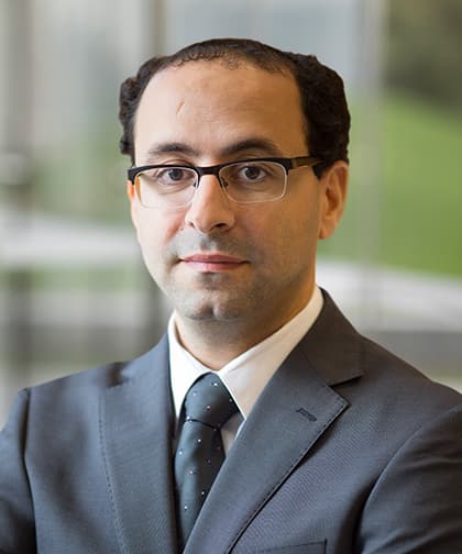 Photo of Ahmed A. Aboumohamed