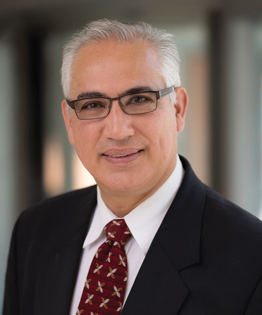 Photo of Amir Ansari Ezabadi